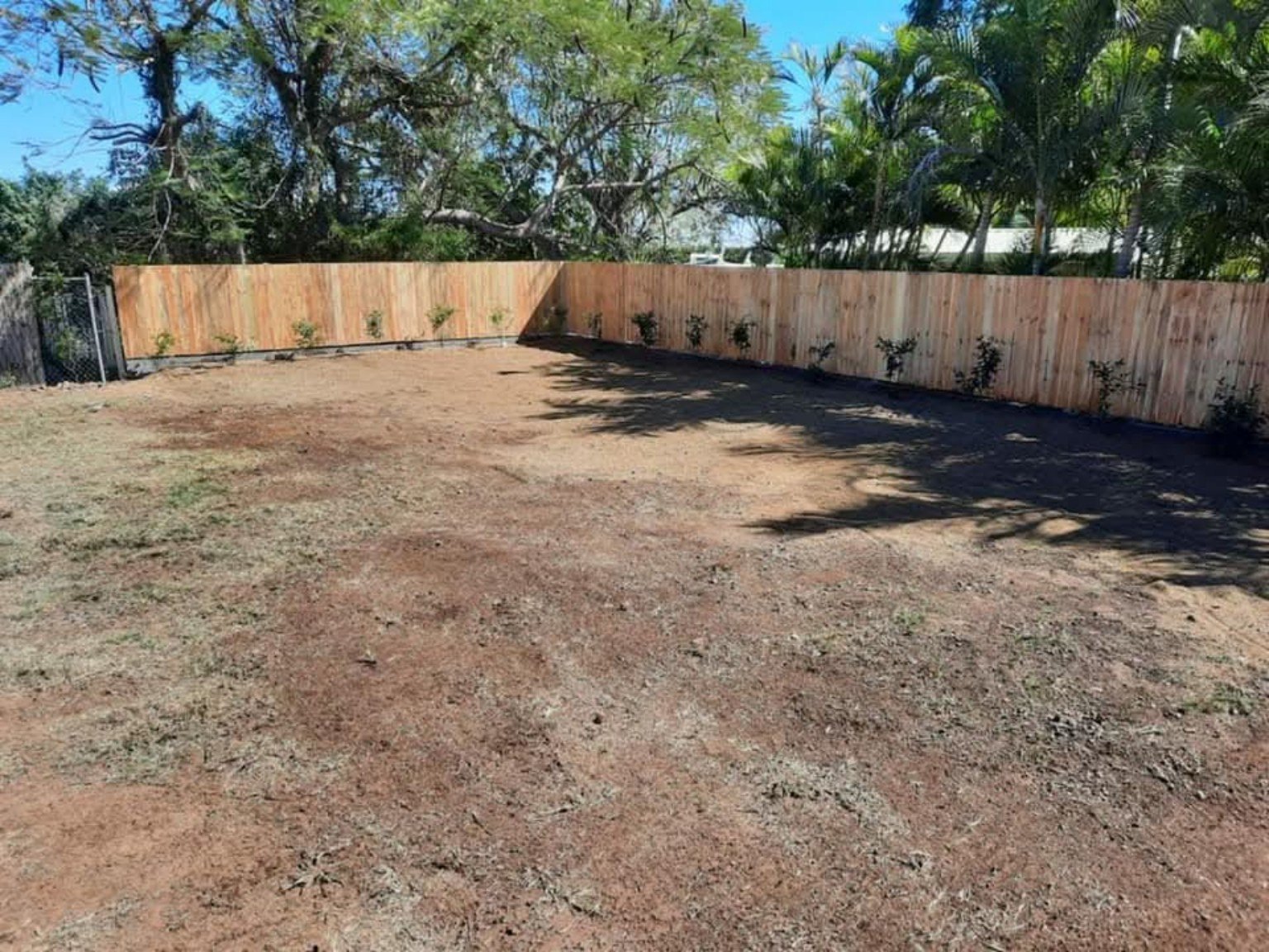Backyard Revamp photo 3