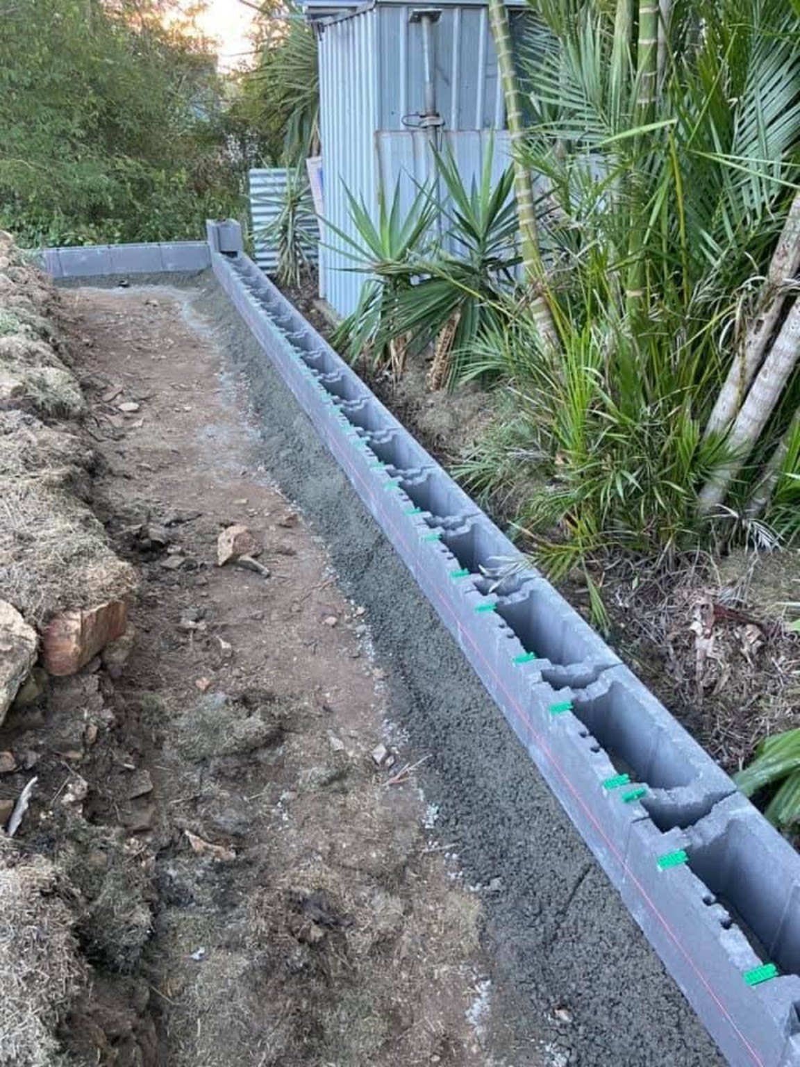 Backyard Revamp photo 6