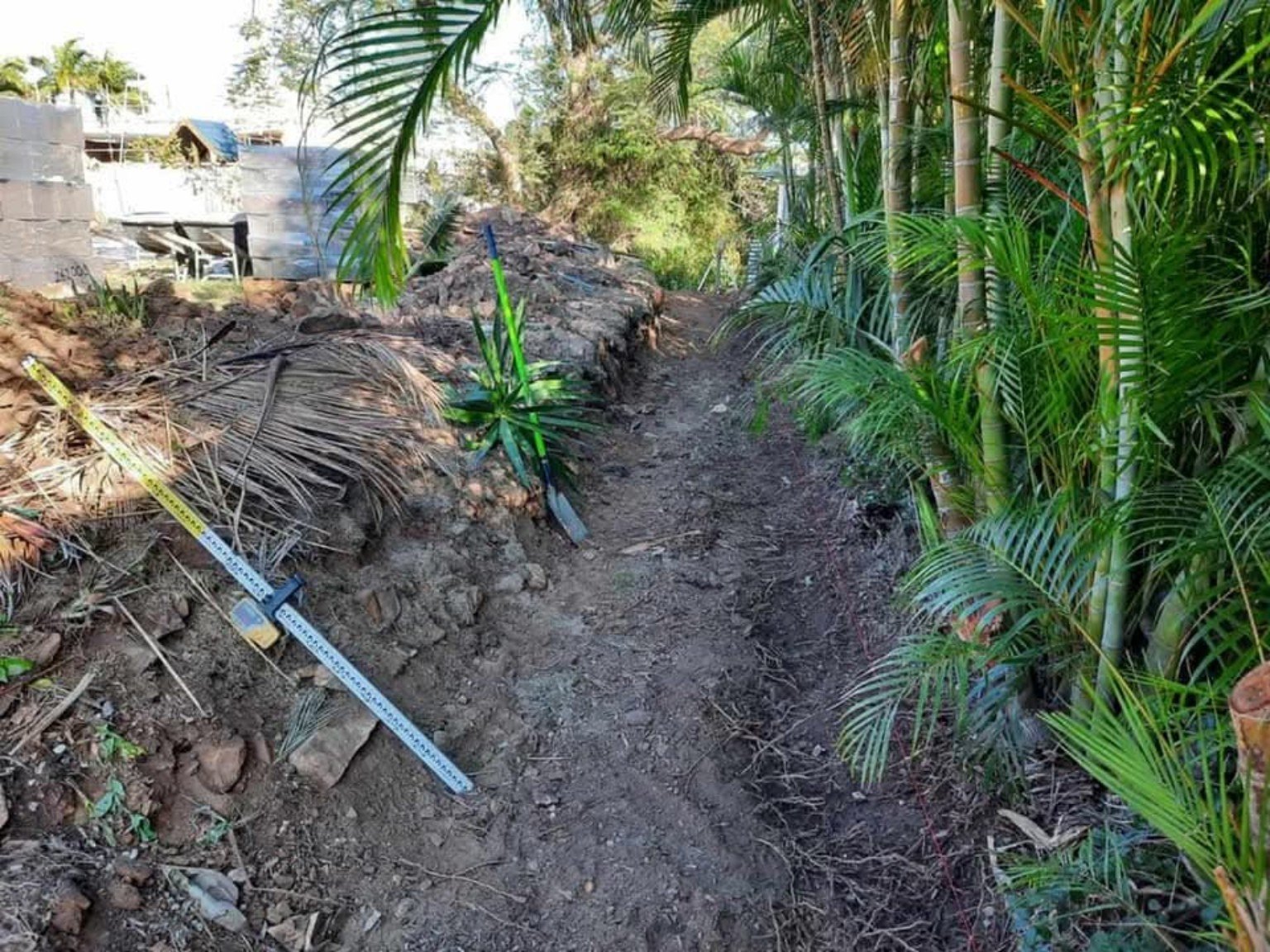 Backyard Revamp photo 8