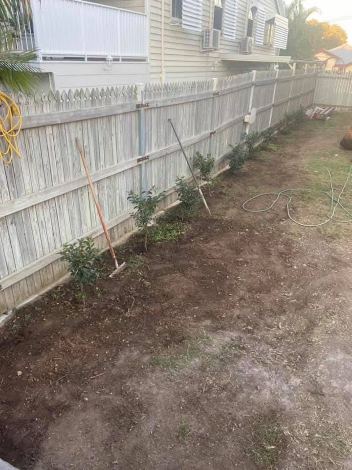 Backyard Revamp photo 9